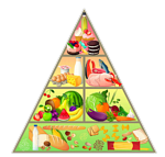 Review - Food pyramid